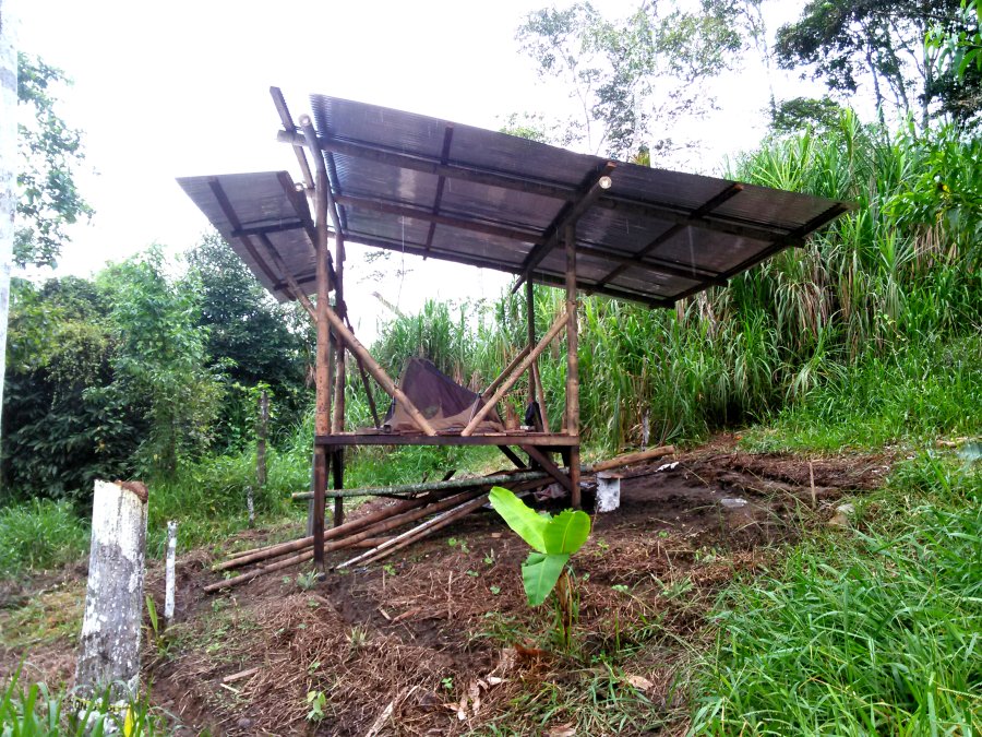 Photo of a small wooden platform with a roof. On the platform is a small tent. Surrounding the platform is lush green jungle foliage