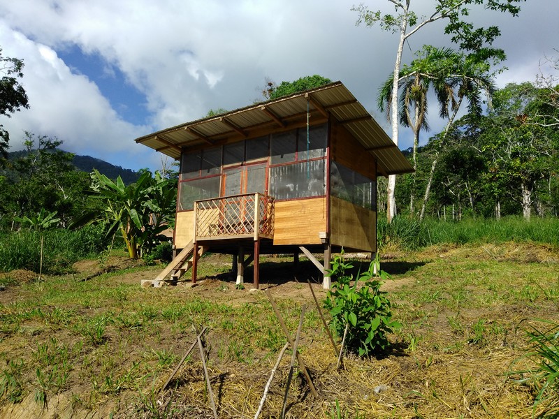 Photo of a small, simple wooden structure with a metal roof with a floor about 1 meter raised from the jungle floor. Surrounding the structure is a lush green forest.