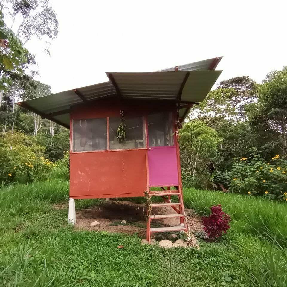 Photo of a small, simple wooden structure with a metal roof with a floor about 1 meter raised from the jungle floor. Surrounding the structure is a lush green forest.