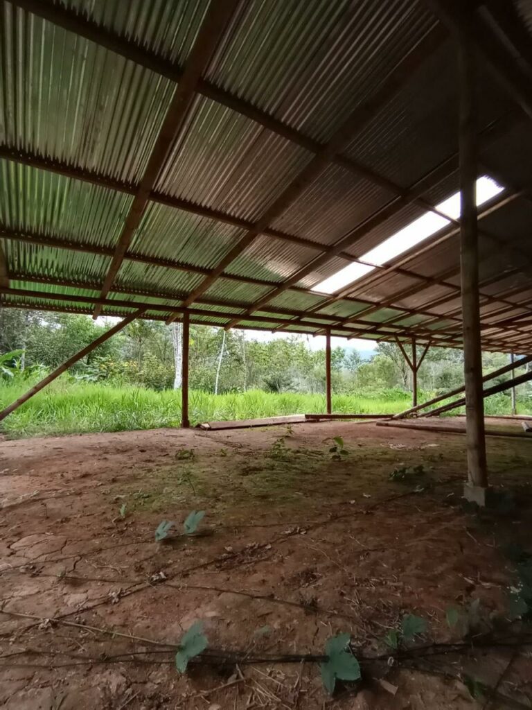 Photo of a large covered area with a dirt floors and vines running across them