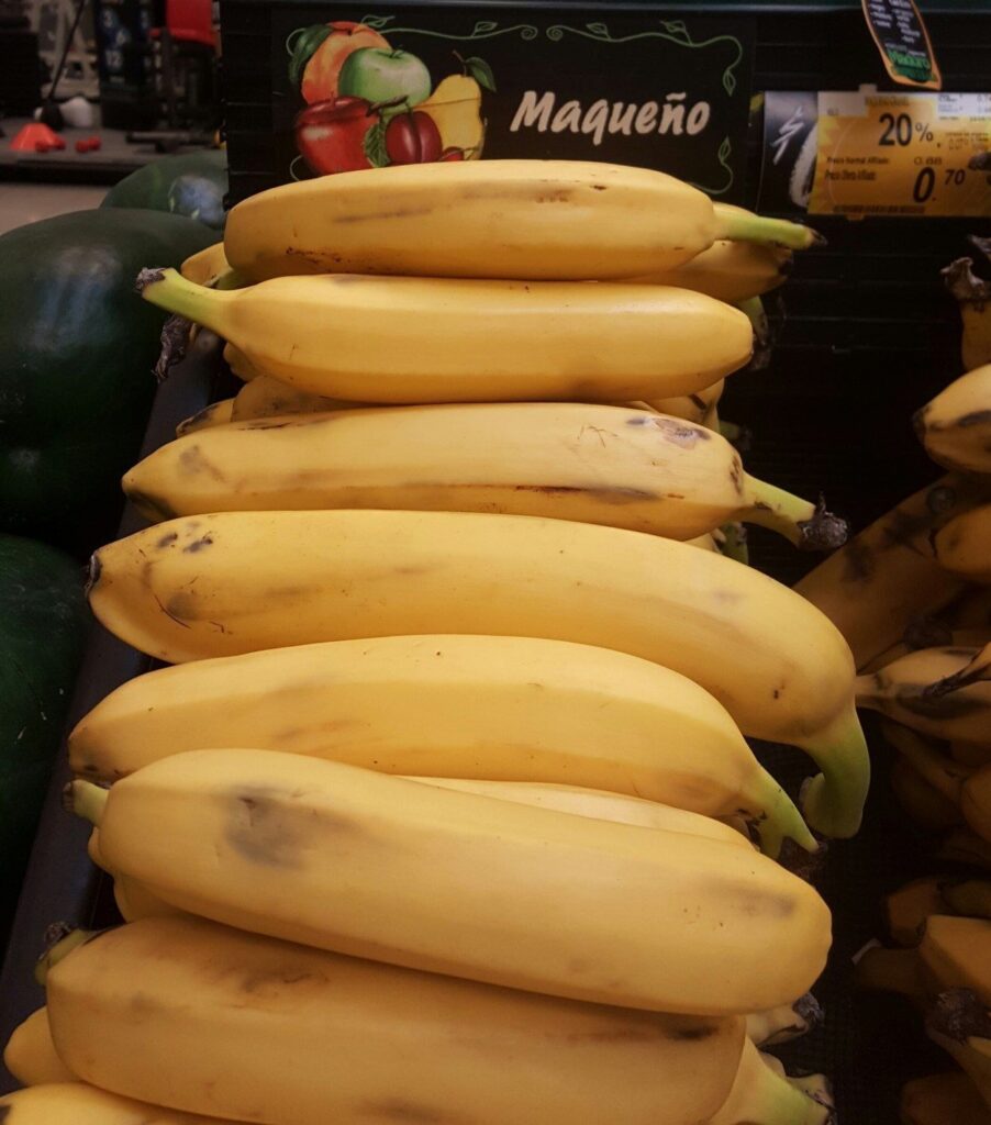 Photo of a stack of single, yellow bananas in front of a sign that reads "Maqueño"