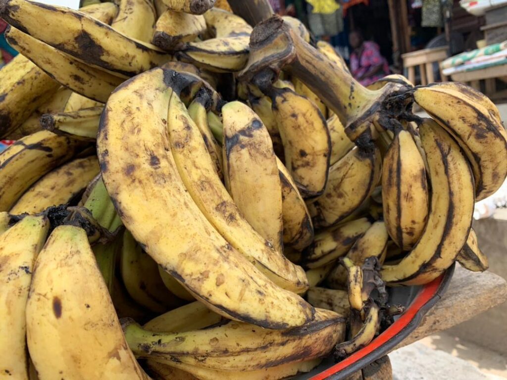 Photo of a many bunches of blackend-yellow, large plantains