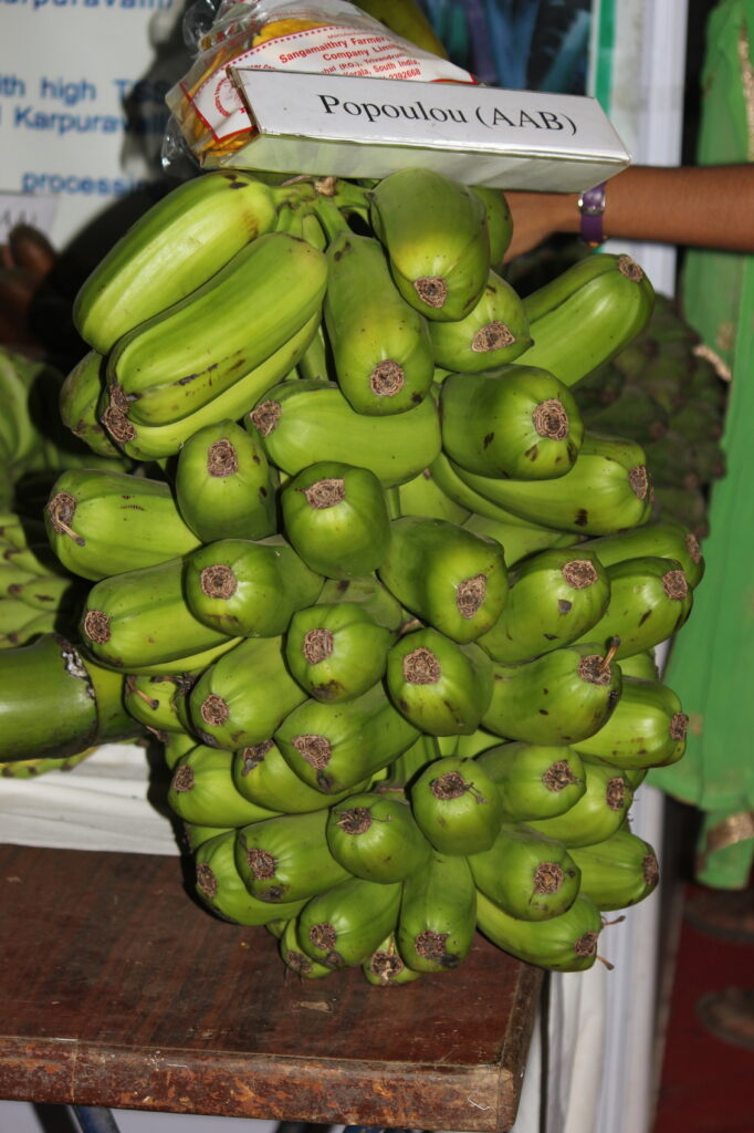 Photo of a rack of Bananas under a label that reads "Popoulou (AAB)"