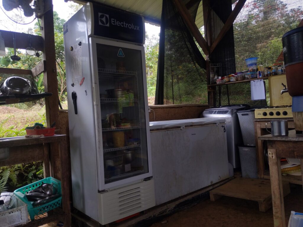 A large fridge with a glass door stands next to a chest freezer