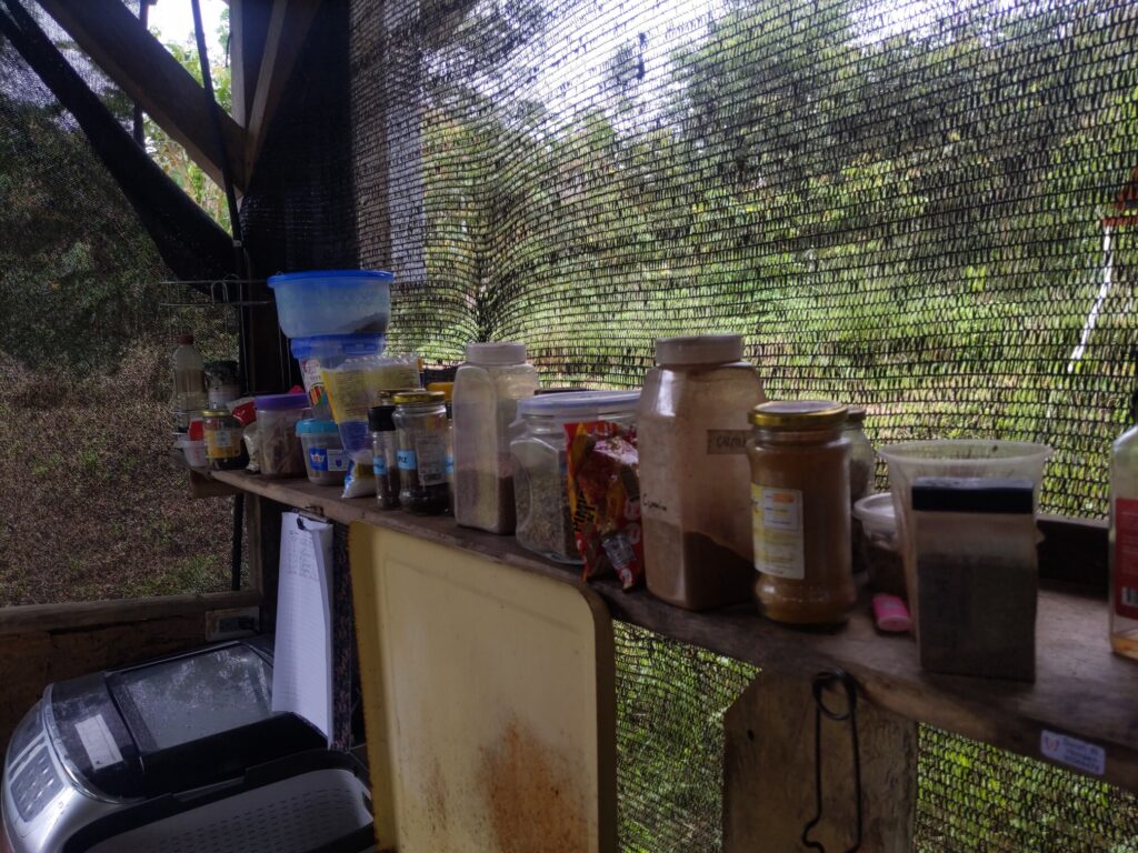 Photo of a shelf full of spices, including various jars and plastic storage containers of herbs