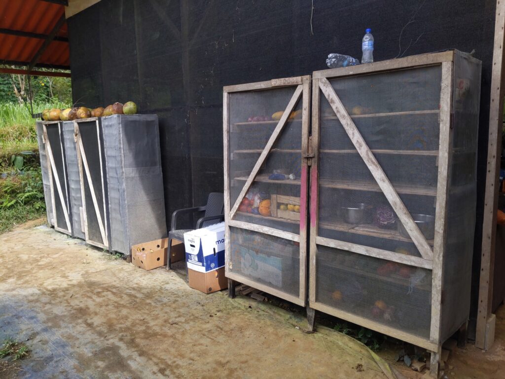 Photo of two large wooden, screened-in cabinets full of food.