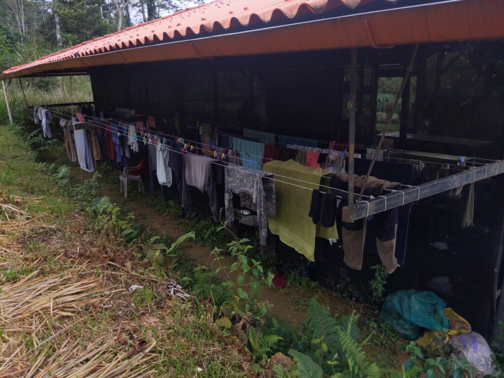 Photo of 8 very long clothes lines under a roof on the side of a building