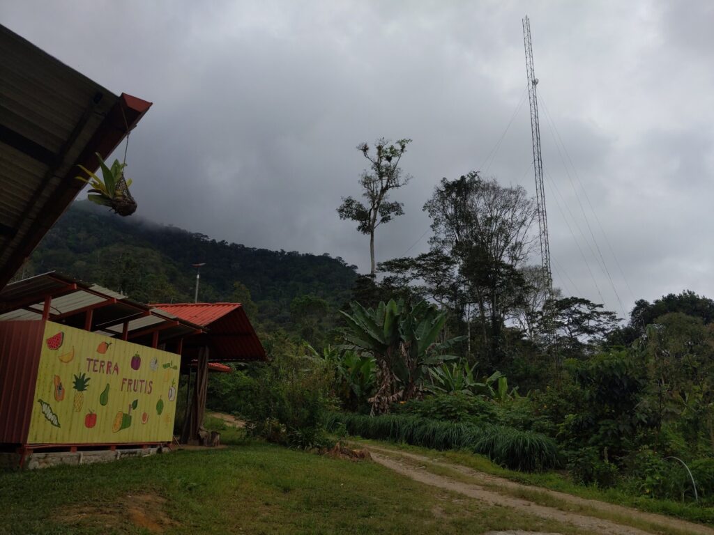 A tall guyed lattice mast stands high on the other side of a small road. Opposite the tower is a structure that reads "Terra Frutis"