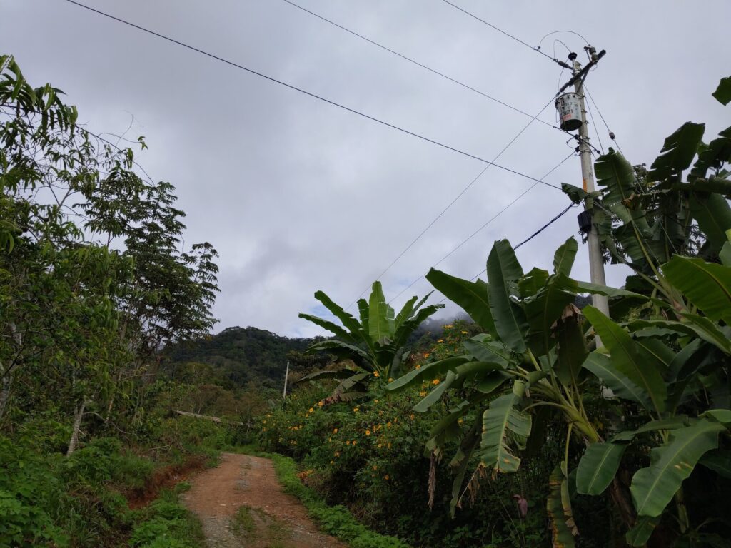 Photo of a telephone pole with a fiber optics cable, high voltage power, and a transformer
